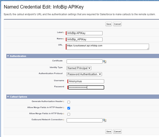 Screen for entering Infobip API key
